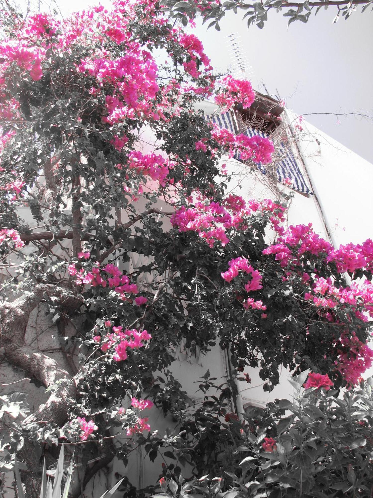 Gio-Ma Apartment ปลาเกียส ภายนอก รูปภาพ